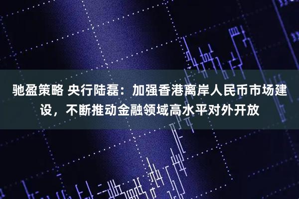 驰盈策略 央行陆磊：加强香港离岸人民币市场建设，不断推动金融领域高水平对外开放