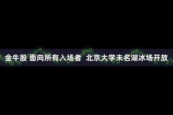 金牛股 面向所有入场者  北京大学未名湖冰场开放