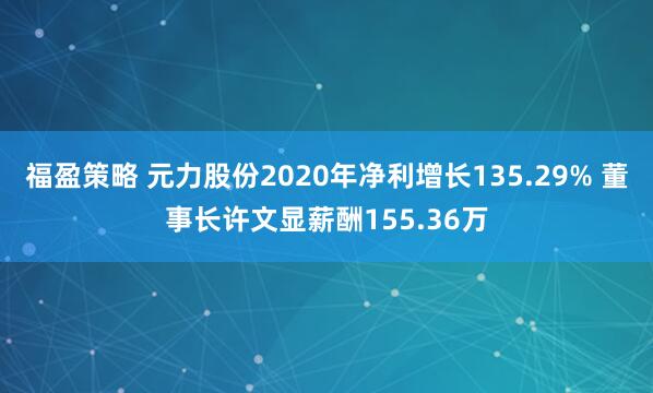 福盈策略 元力股份2020年净利增长135.29% 董事长许文显薪酬155.36万