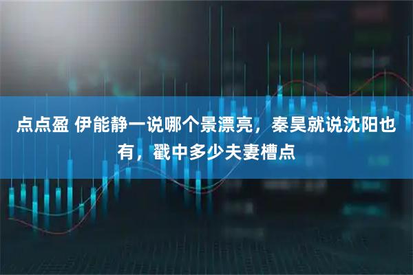 点点盈 伊能静一说哪个景漂亮，秦昊就说沈阳也有，戳中多少夫妻槽点