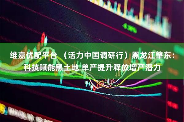 维嘉优配平台 （活力中国调研行）黑龙江肇东：科技赋能黑土地 单产提升释放增产潜力